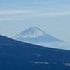 ミズ