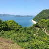 hassaku-0303