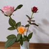 Ts