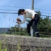 イフボックス1414
