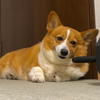 あつ