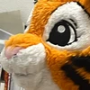 ざわ