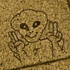 の