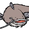 なまず