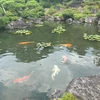 市中の山居