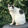 ジュウシチ