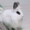 non