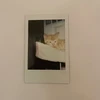 わたし