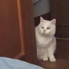 on
