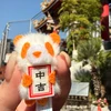 ミナミ