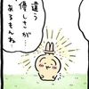 いわのこ