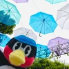 ふかみ