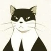 SP猫