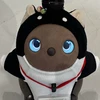 mayu