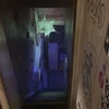 ハク