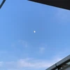 りほ