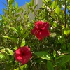 user8BHUtLhkqeq