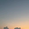 りーふ