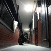 Ryo