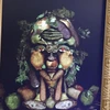 gato