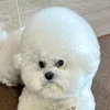 ゆいぴ
