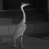 あ