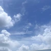 paru