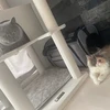 おけい