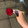 なたま