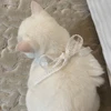 しらたま