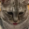 こーこ