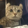 郝语童