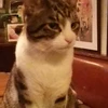 ノリ