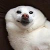 限界