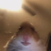 あぽち