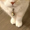 ちゃんみ
