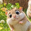 にもあ