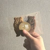 やはぎ