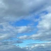 えりか