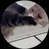 花より団子