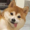 て