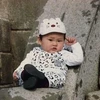 のぁしう