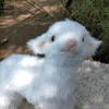 ゆずなだよ