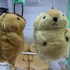 ふたば