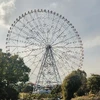 うぃる