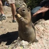 リーシャ