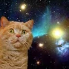 spacecat24