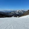 はしもと