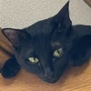 まやぞー