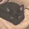 やたら世間は塵ばかり